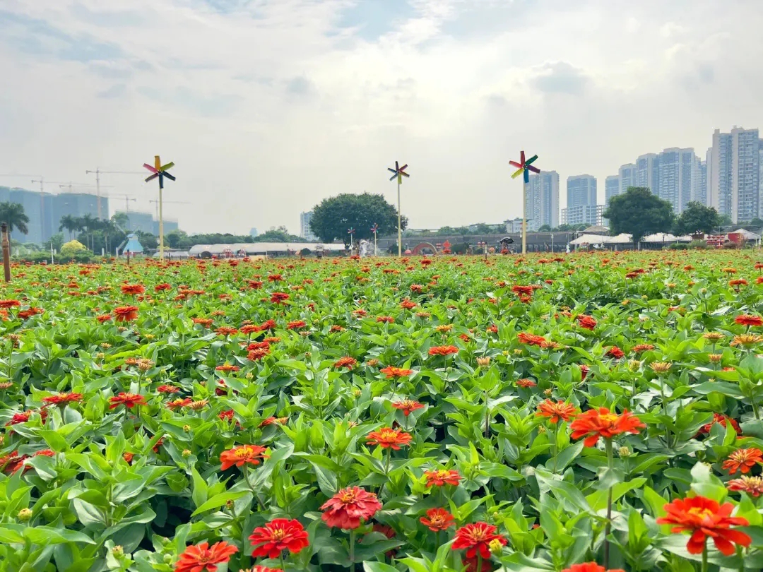 廣西：探索“公園+”新模式，共享城市綠意