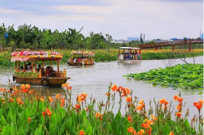 廣東：濕地公園活動(dòng)不斷上線 濕地旅游持續(xù)升溫